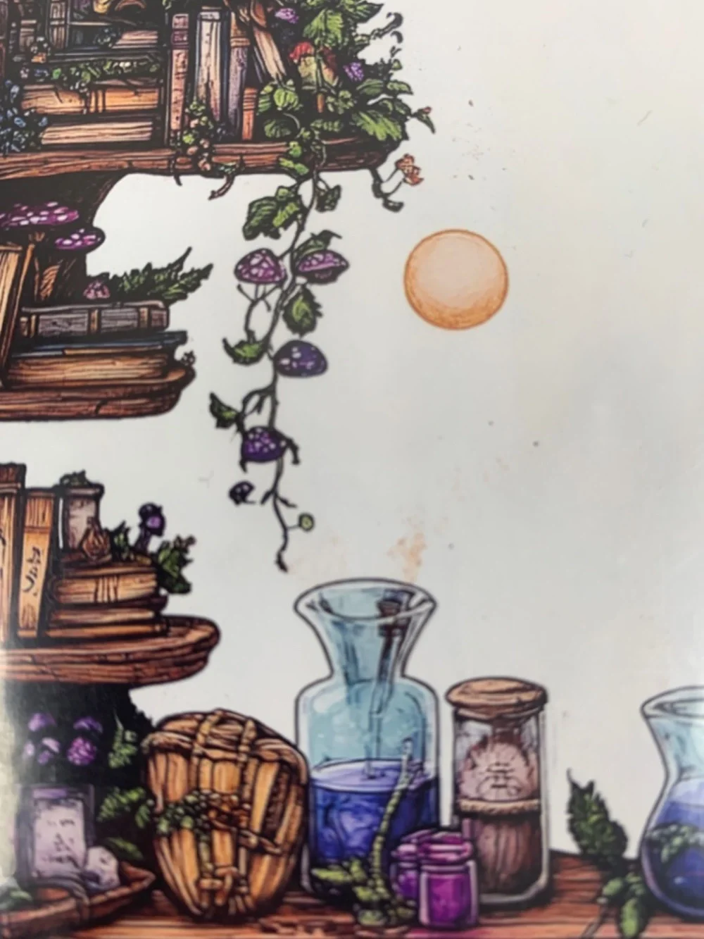 Cross Stitch Kit Crescent Moon Bookcase Stamped 14 Count NEW Whimsy Witchy
